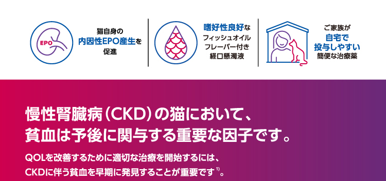 イメージ1