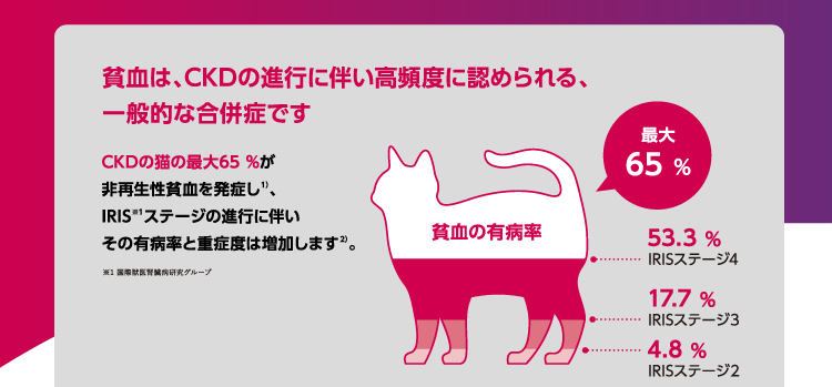 イメージ2
