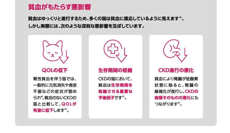 イメージ3