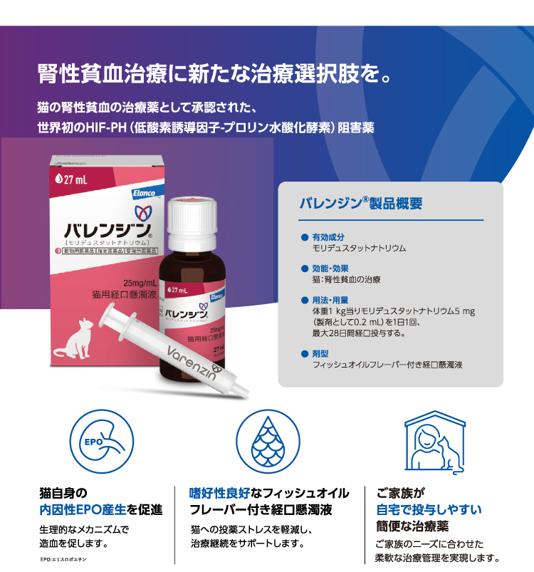 イメージ4