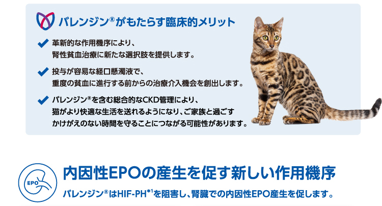 イメージ5