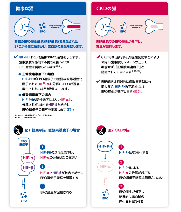 イメージ6