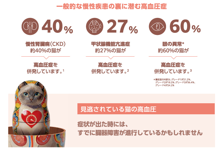 イメージ4