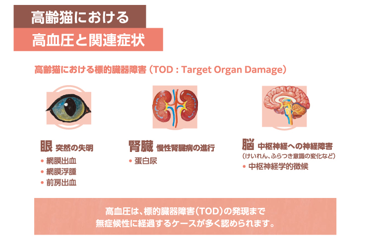 イメージ5