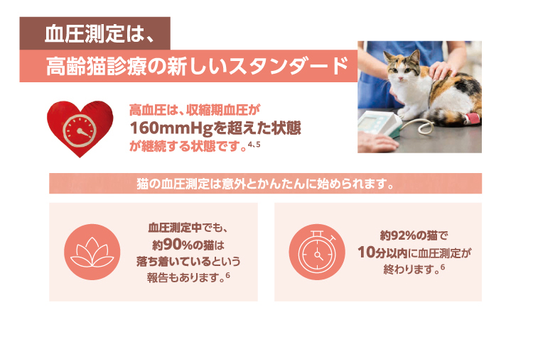 イメージ6