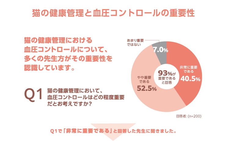 イメージ7