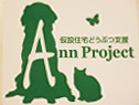 ann project