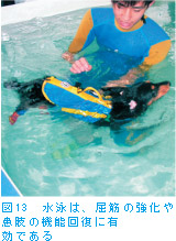 図13　水泳は、屈筋の強化や患肢の機能回復に有効である
