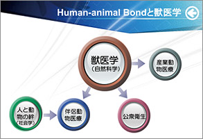 Human-animal Bondと獣医学