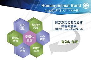 Human-animal Bond