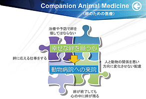 Companion Animal Medicine