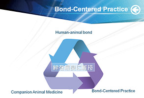 Bond-Centered Practice