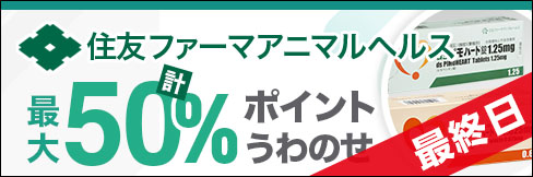 ＼最大23%ポイントUP!／【住友ファーマアニマルヘルス キャンペーン】8/31(水)まで!