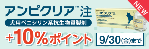 新商品!＼10%ポイント還元／【アンピクリア注キャンペーン】犬用ペニシリン系抗生物質製剤