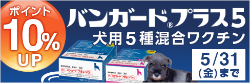 ＼10%ポイントアップ!／犬用5種混合ワクチン【バンガードプラス5 キャンペーン】