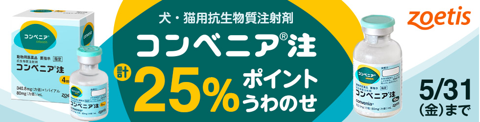 【コンベニア注キャンペーン】＼計25%ポイント還元!／5/31(金)まで!
