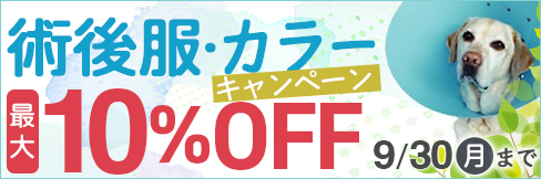 ＼最大10%OFF!／【カラー・術後服キャンペーン】診察処置品も今だけお得!