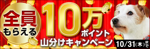 ＼全員もらえる!／【10万ポイント山分けキャンペーン】エントリー＆ご購入条件達成で!