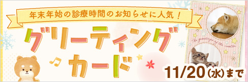 【2024年グリーティングカード】年末年始の診療時間のお知らせに★11/20(水)まで受付中★