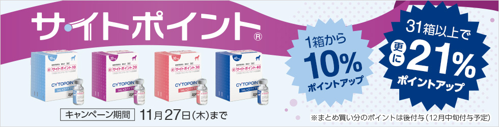 \最大 計15%ポイント還元!/【サイトポイントキャンペーン】11/27(木)まで!