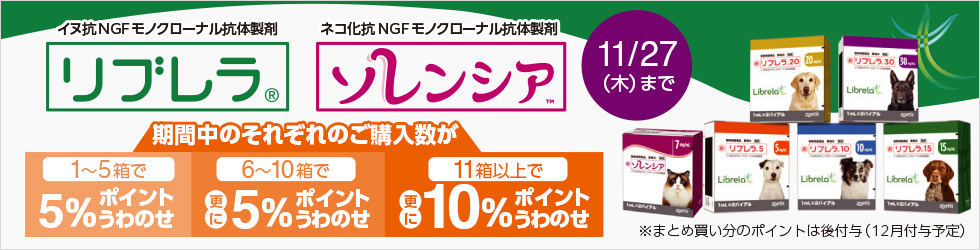 \最大 計15%ポイント還元!/【リブレラ・ソレンシアまとめ買いキャンペーン】11/27(木)まで!