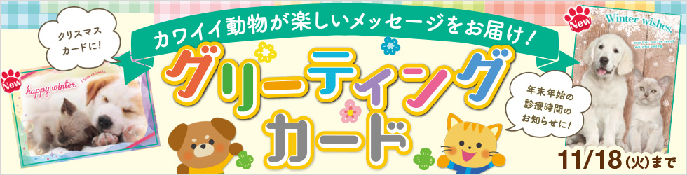 【2025年グリーティングカード】年末年始の診療時間のお知らせに★11/18(火)受付中★