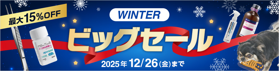 【ウィンタービッグセール】＼最大15%OFF!／対象商品870点以上! 12/26(金)まで!