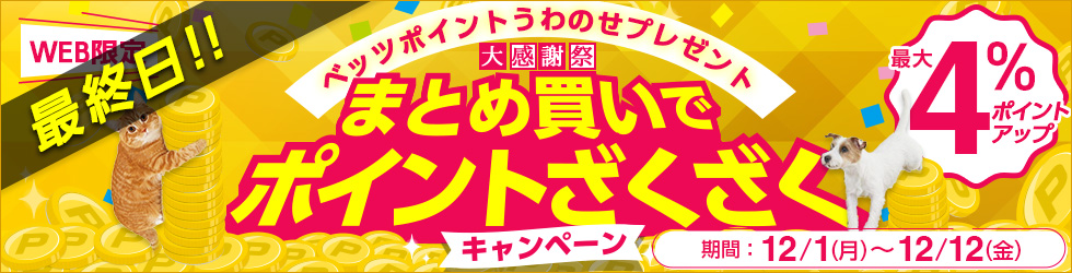 \最大4%ポイントアップ!/【まとめ買いポイントざくざくキャンペーン】12/12(金)まで!