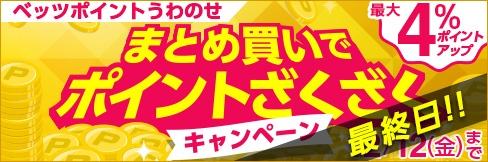 ＼最大4%ポイントアップ!／【まとめ買いポイントざくざくキャンペーン】12/12(金)まで!
