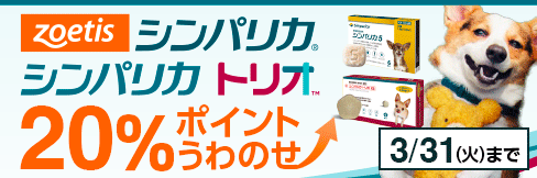 【シンパリカ・シンパリカトリオまとめ買いキャンペーン】まとめ買いで＼最大 計30%ポイント還元に!／