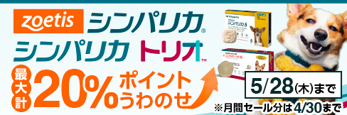 【シンパリカ・シンパリカトリオまとめ買いキャンペーン】まとめ買いで\最大 計20%ポイント還元に!/
