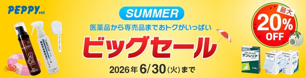 【サマービッグセール】＼最大20%OFF!／対象商品700点以上! 6/30(火)まで!