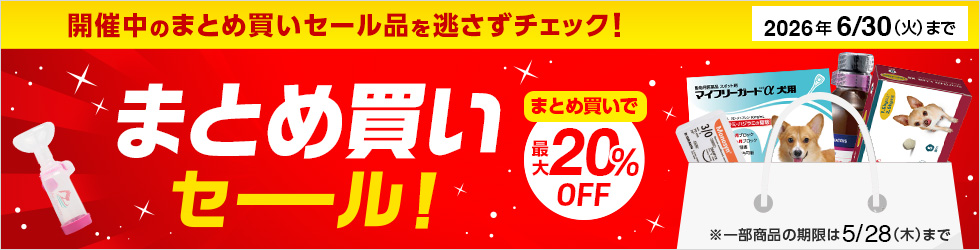 【まとめ買いセール】まとめ買いで\最大20%OFFに!/現在開催中のまとめ買いセール対象品はこちら!