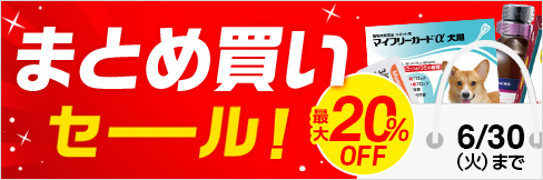 【まとめ買いセール】まとめ買いで＼最大20%OFFに!／現在開催中のまとめ買いセール対象品はこちら！