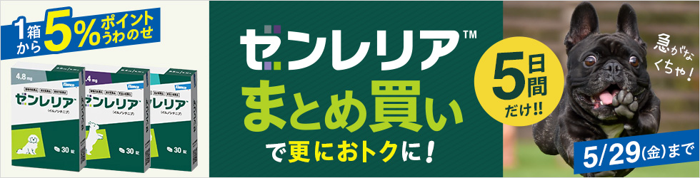 【ゼンレリアまとめ買いキャンペーン】\5日間限定!/1箱\5%ポイント還元!/まとめ買いで更にお得!!