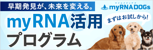 【myRNA DOGs マイルナドッグズ お試しキャンペーン】今だけ!お試しセットが\最大50%OFFに!/