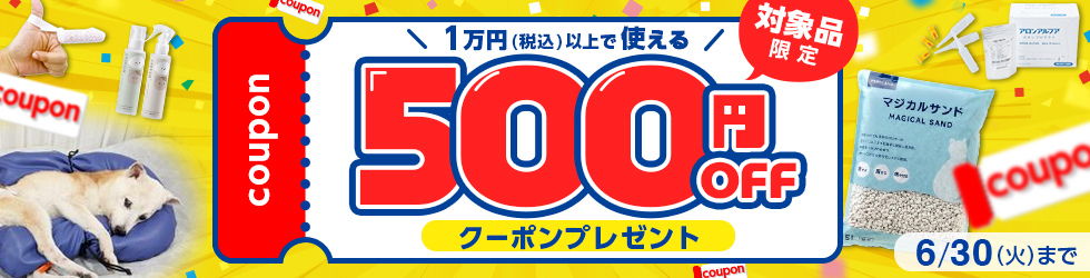 【ピックアップ品対象500円OFFクーポン】1万円(税込)以上ご購入で使える!6/30(火)まで!