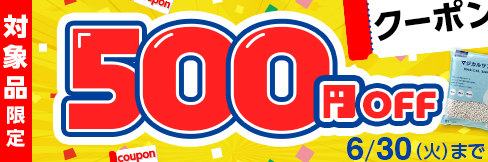 【ピックアップ品対象500円OFFクーポン】1万円(税込)以上ご購入で使える!6/30(火)まで!