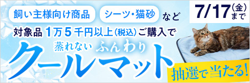 【クールマット プレゼントキャンペーン】抽選で10動物病院様に!エントリー&条件達成で!