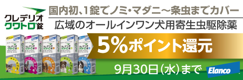 【クレデリオクワトロ錠キャンペーン】今だけ\5%ポイント還元!/9/30(水)まで!