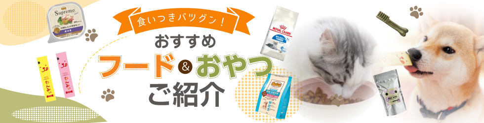 【おすすめフード&おやつ特集】投薬補助おやつからデンタルおやつまで!