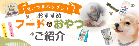 【おすすめフード&おやつ特集】投薬補助おやつからデンタルおやつまで!