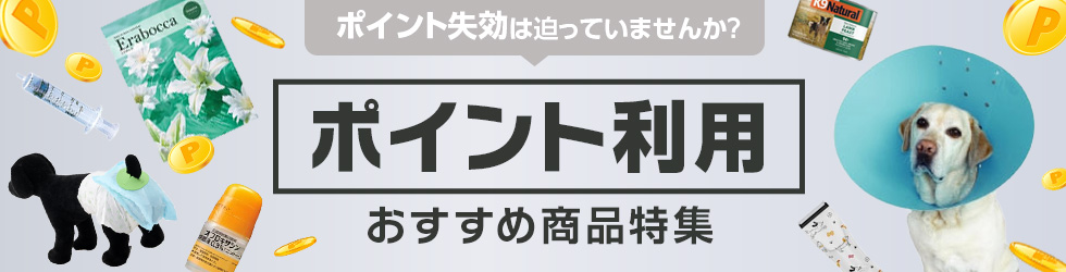 【ポイント利用おすすめ商品特集】9/30(水)で有効期限切れのポイントはありませんか?