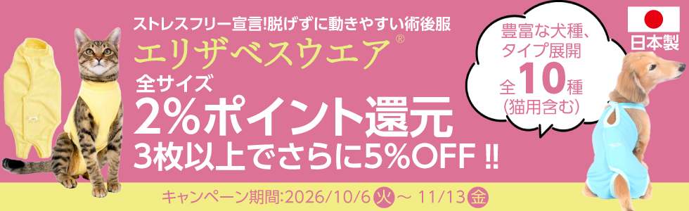 【エリザベスウエアまとめ買いキャンペーン】1枚から＼2%ポイント還元!／3枚以上＼まとめ買いで更に5%OFF!／
