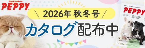 20312